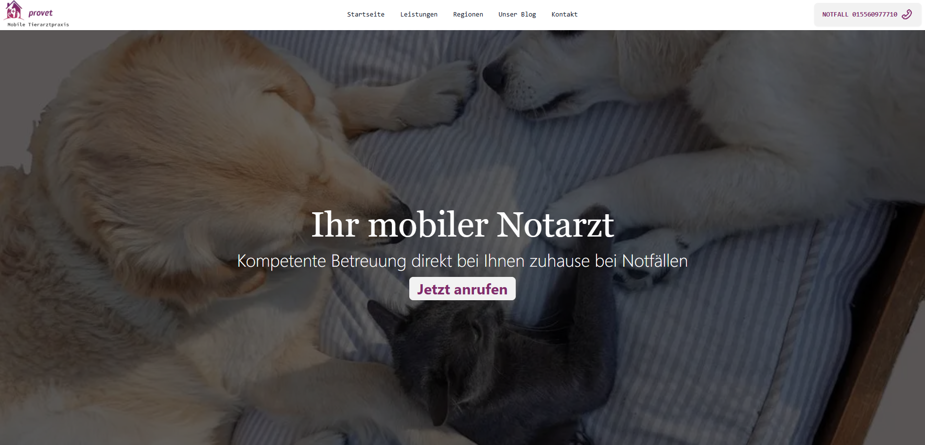 Provet Tierarzt Notdienst Desktop